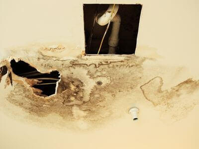 Professional storm damage restoration services in Fort Lauderdale - water damage restoration service